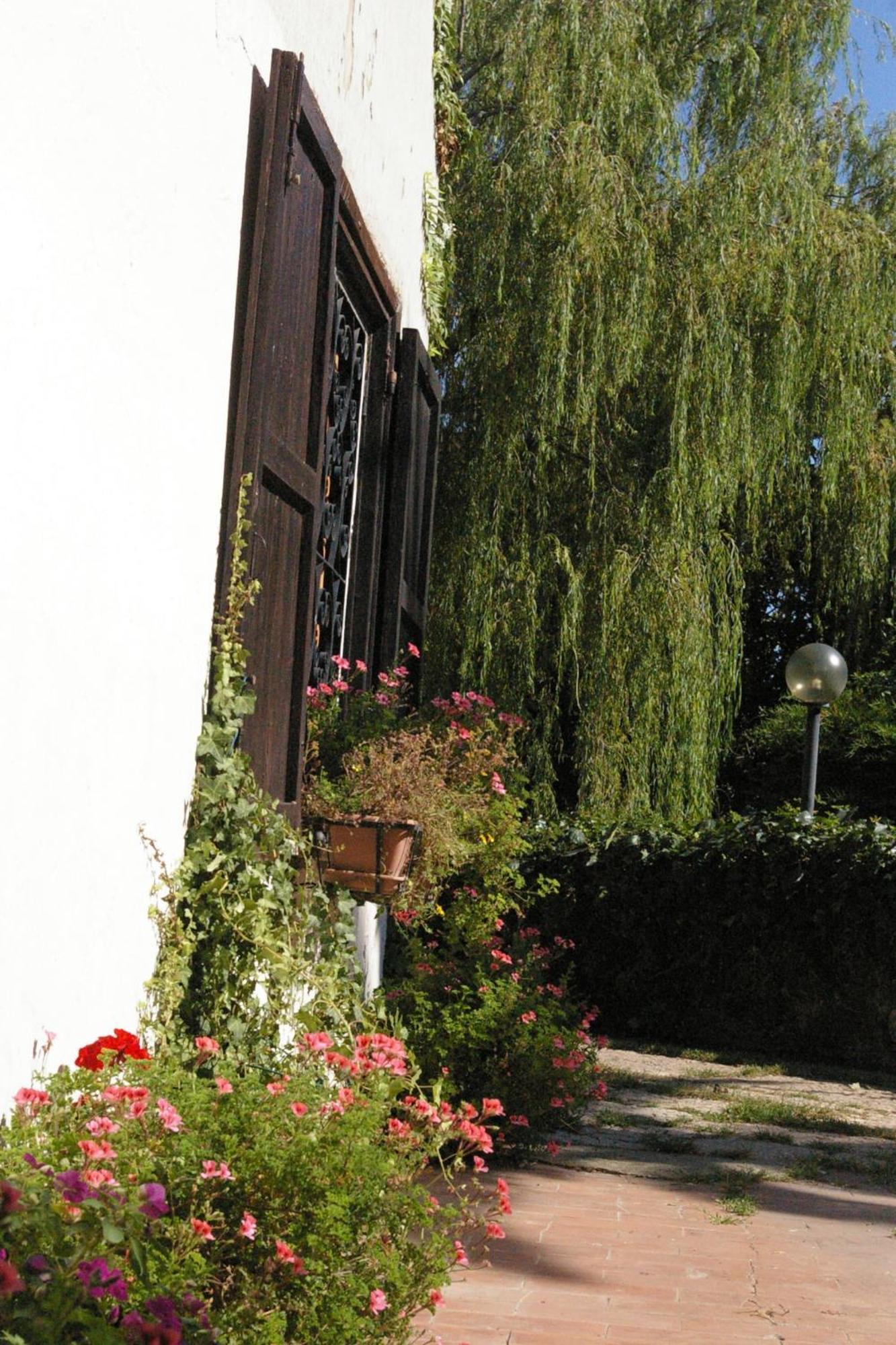 B&B Villa Sans Souci Civitavecchia Esterno foto