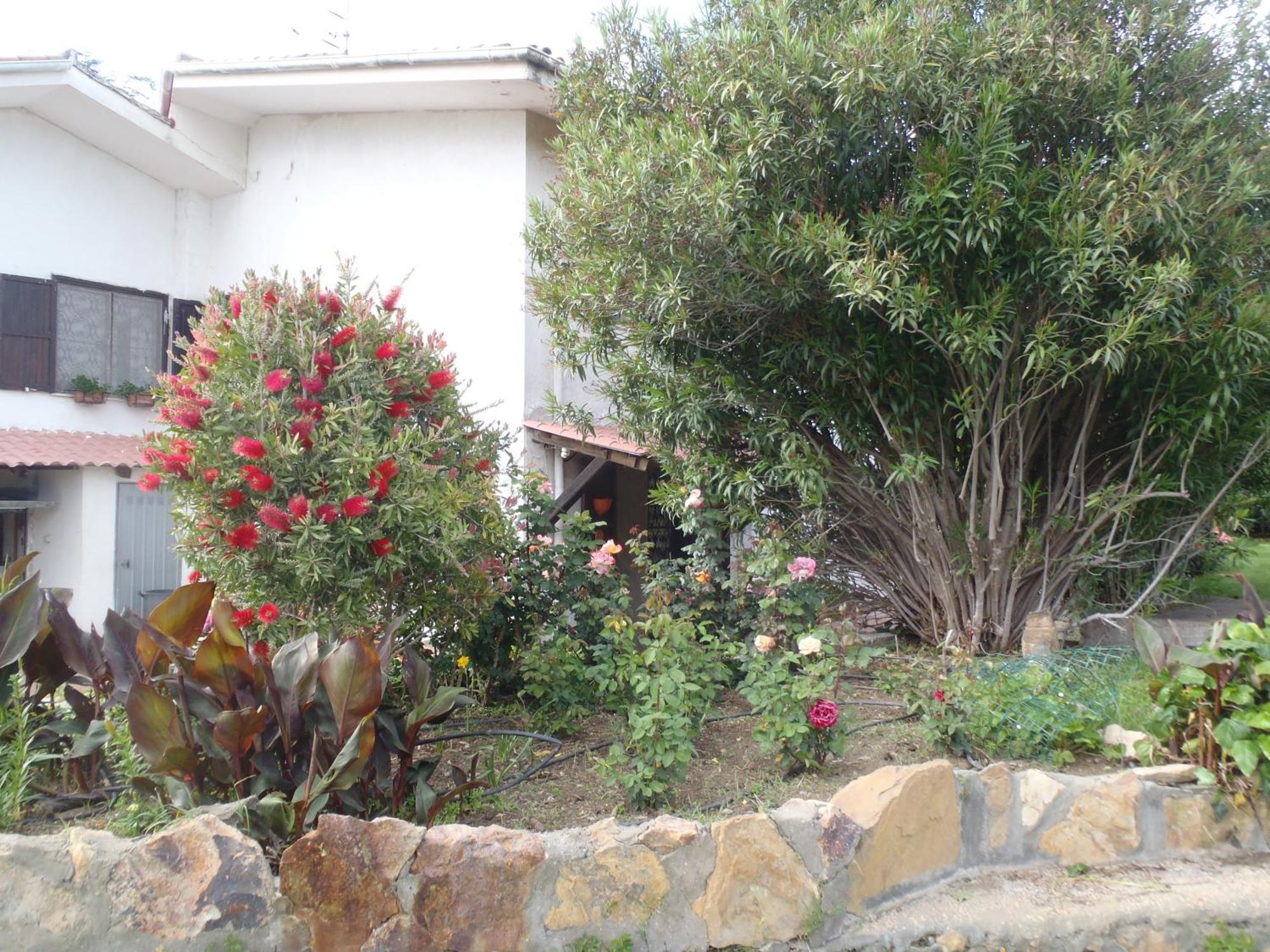 B&B Villa Sans Souci Civitavecchia Esterno foto