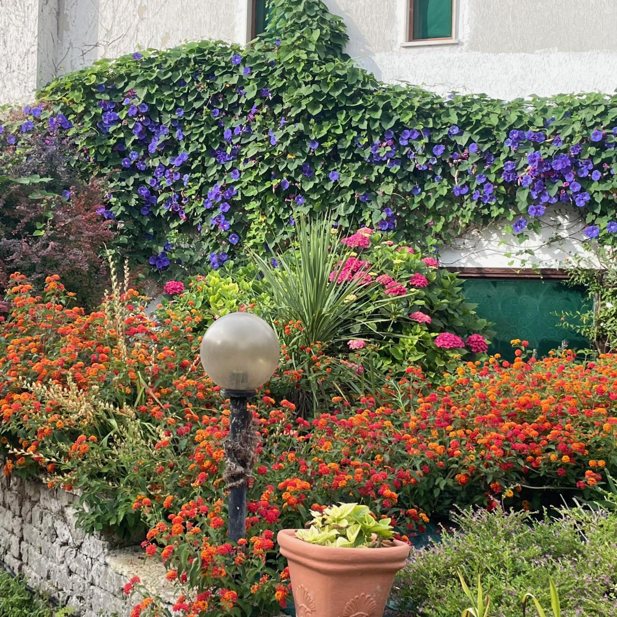 B&B Villa Sans Souci Civitavecchia Esterno foto