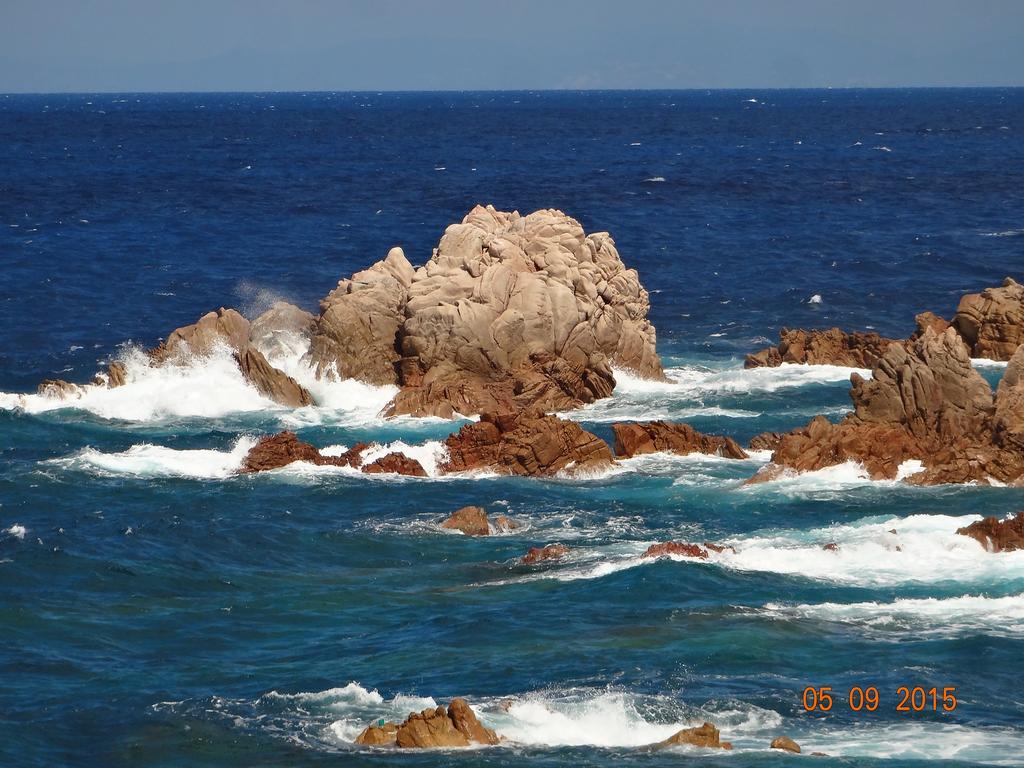 B&B Villa Sans Souci Civitavecchia Esterno foto