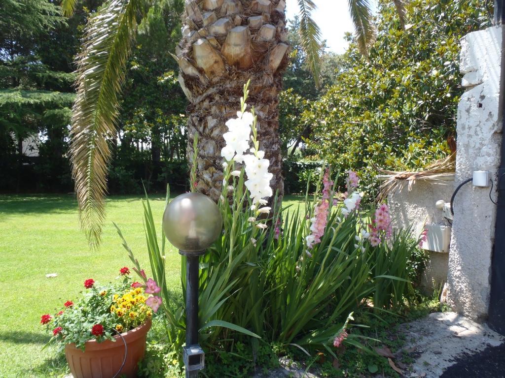 B&B Villa Sans Souci Civitavecchia Esterno foto