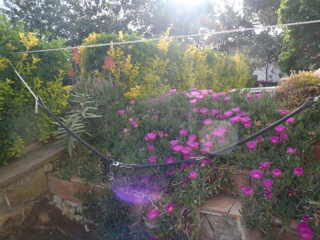 B&B Villa Sans Souci Civitavecchia Esterno foto