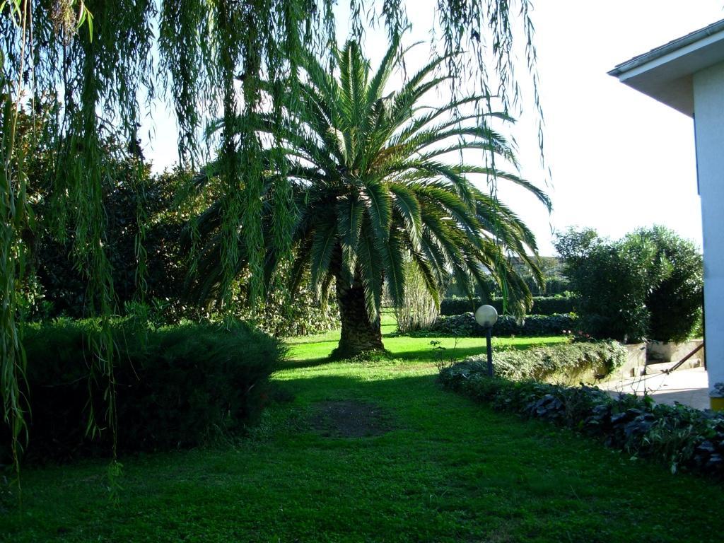 B&B Villa Sans Souci Civitavecchia Esterno foto