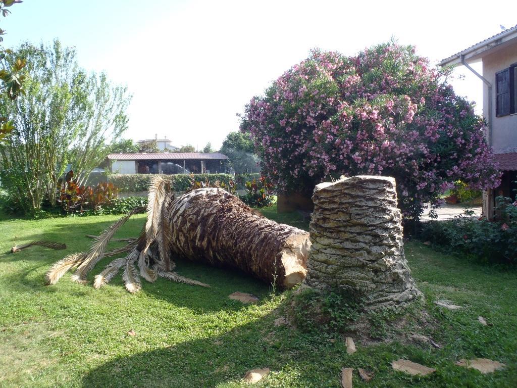 B&B Villa Sans Souci Civitavecchia Esterno foto